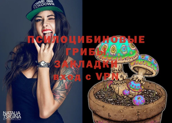гашик Армянск