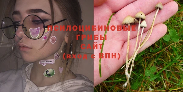 гашик Армянск