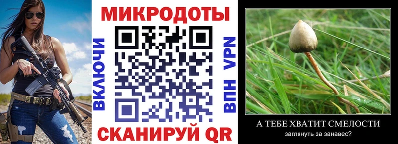 blacksprut ТОР  Камбарка  Галлюциногенные грибы Psilocybe  как найти наркотики 